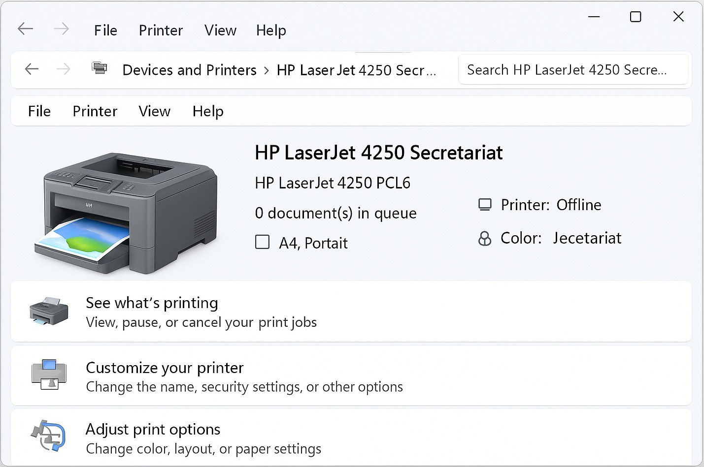 Printer offline troubleshooting